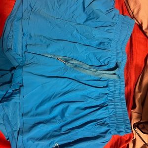 vibrant blue butterfly shorts